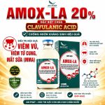 AMOX-LA