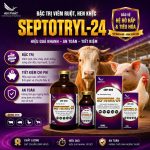 SEPTOTRYL-24