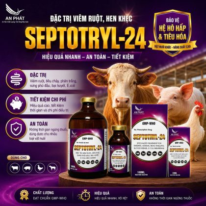 SEPTOTRYL-24
