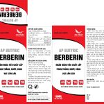AP BUTYRIC BERBERIN Thuốc berberin cho heo, bò, dêngăn ngừa tiêu chảy cấp, phân trắng