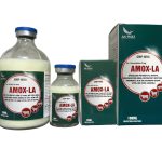 Kháng sinh tiêm AMOX LA 20% đặc trị viêm nhiễm cho heo, bò, chó, mèo