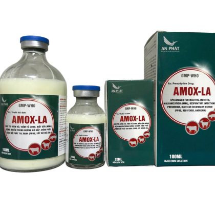 Kháng sinh tiêm AMOX LA 20% đặc trị viêm nhiễm cho heo, bò, chó, mèo