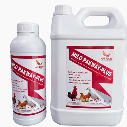 MILO PAKWAY – PLUS cho gia cầm gia súc giúp nở ức, tăng lườn, bung lông, bật cựa, tăng cân, tăng đề kháng