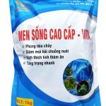 MEN SỐNG CAO CẤP – VITA