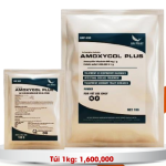 AMOXYCOL PLUS