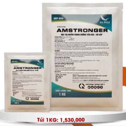 AMSTRONGER