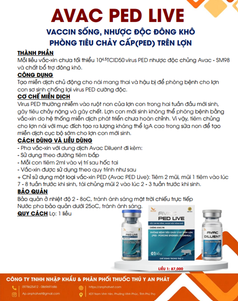 AVAC PED LIVE