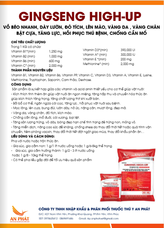 GINSENG HIGH-UP