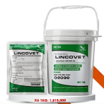 LINCOVET