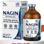 NAGIN