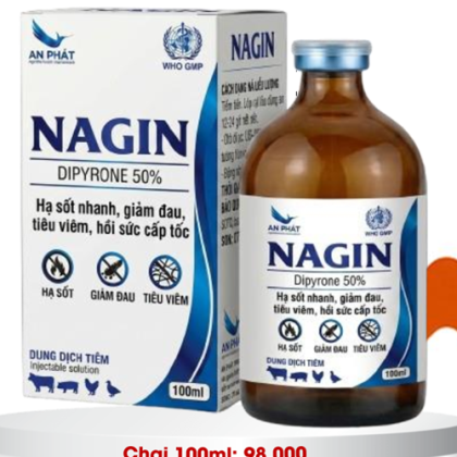 NAGIN