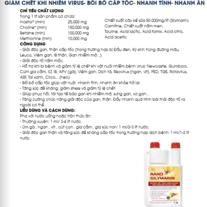 NANO SILYMARIN
