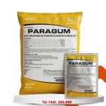 PARAGUM