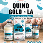 QUINO GOLD-LA