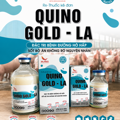 QUINO GOLD-LA