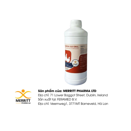 FLORFEN 310 ORAL